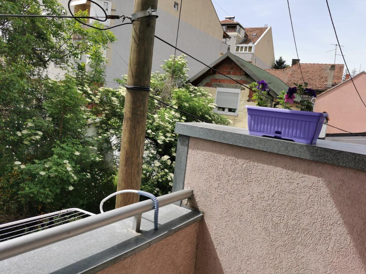Apartmani Milica Krusevac Ngoại thất bức ảnh